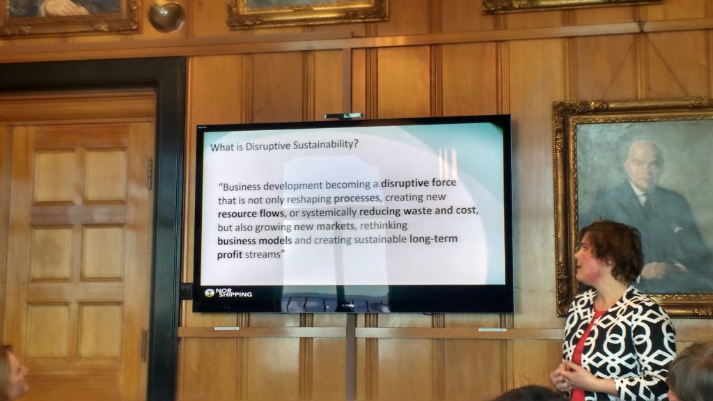 What is disruptive sustainability?